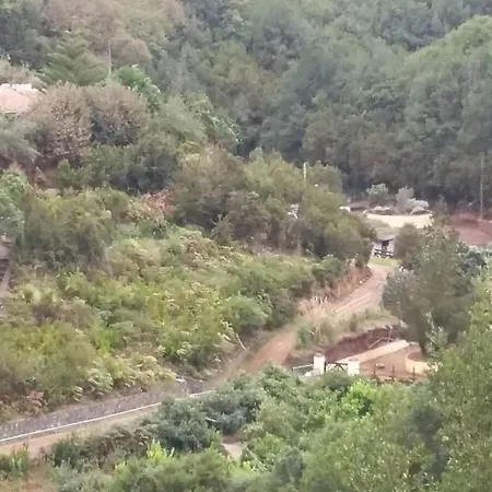 Avestruces Agulo